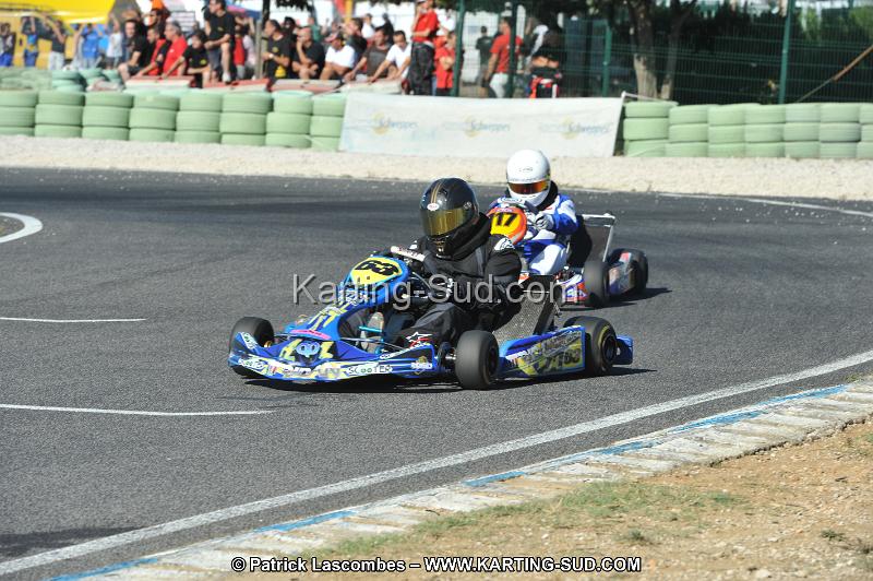 DSC (2526).JPG